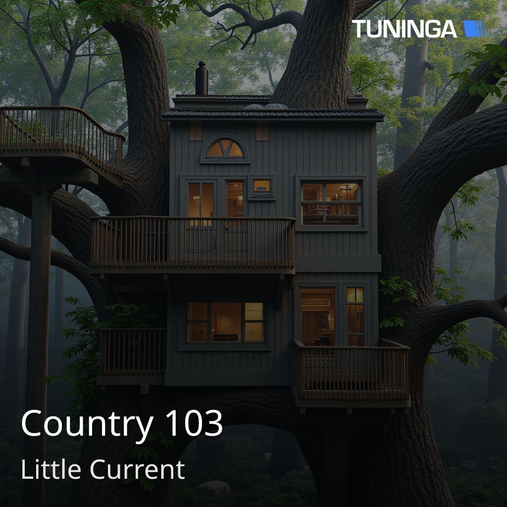 Country 103