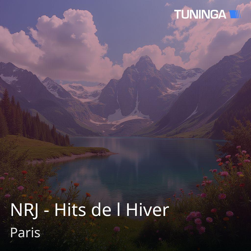 NRJ - Hits de l Hiver