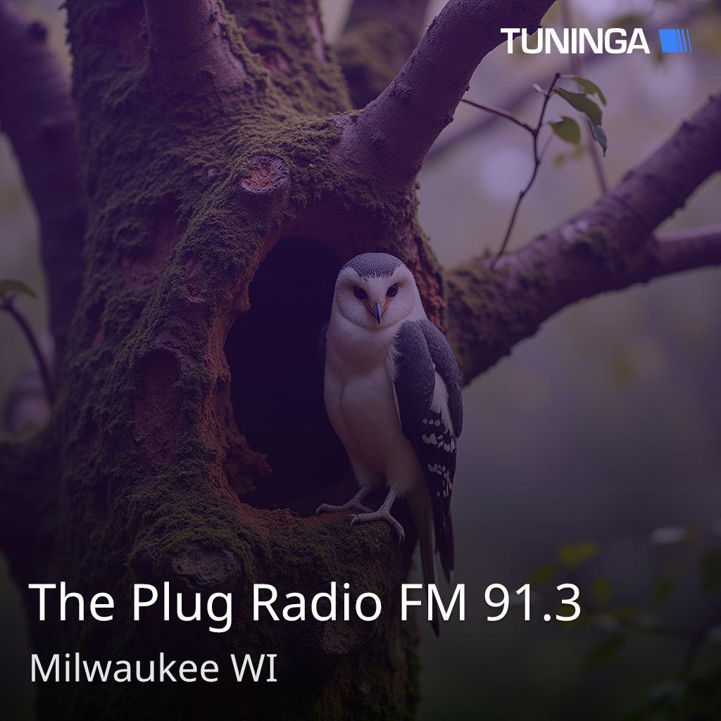 The Plug Radio FM 91.3