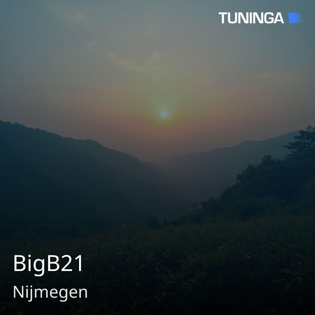BigB21