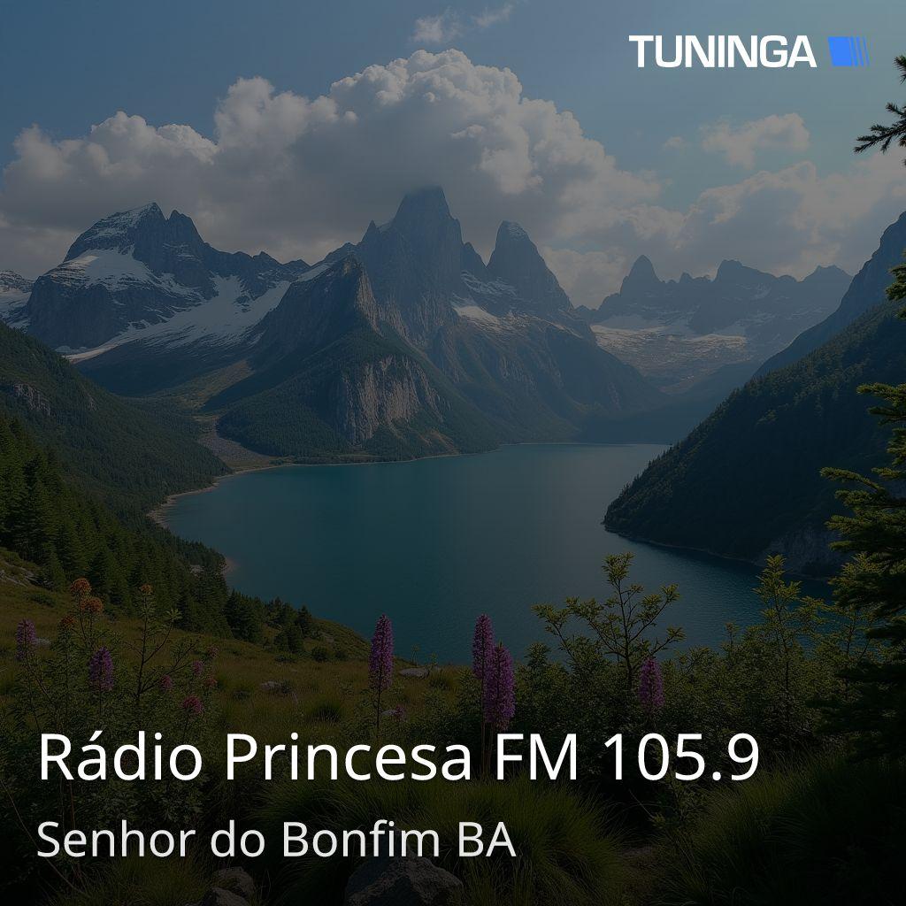 Rádio Princesa FM 105.9