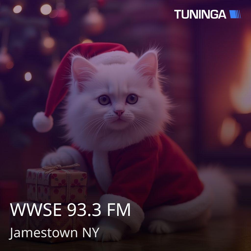 WWSE 93.3 FM