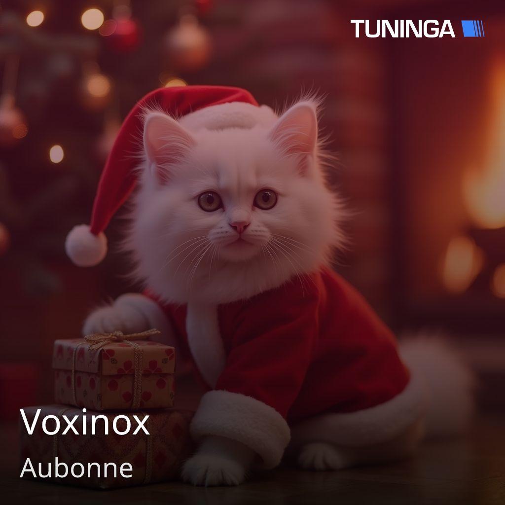 Voxinox