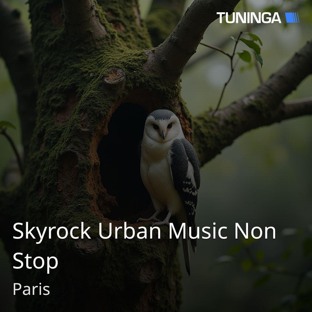 Skyrock Urban Music Non Stop