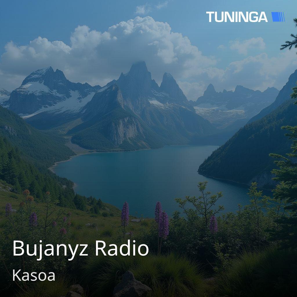 Bujanyz Radio