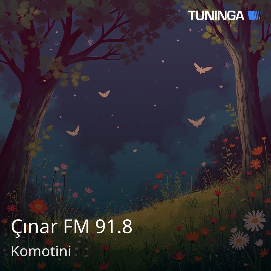 Çınar FM 91.8