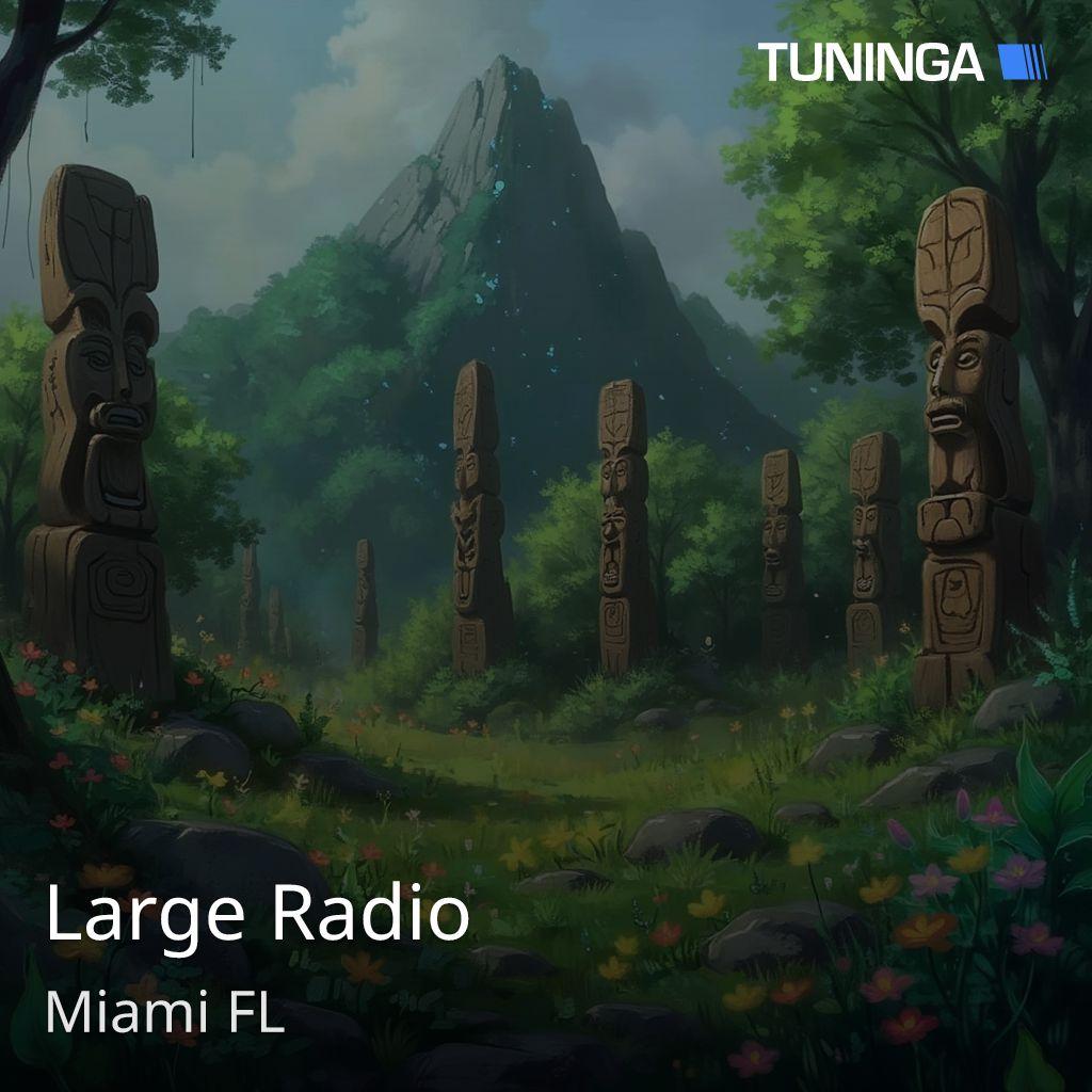 Large Radio