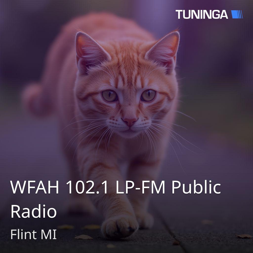 WFAH 102.1 LP-FM Public Radio