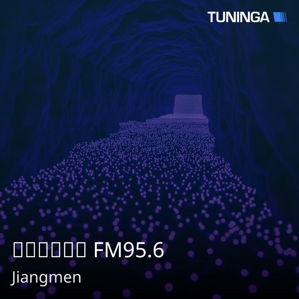 开平广播电台 FM95.6