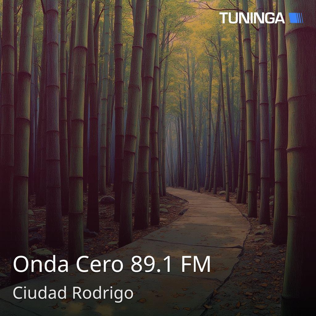 Onda Cero 89.1 FM
