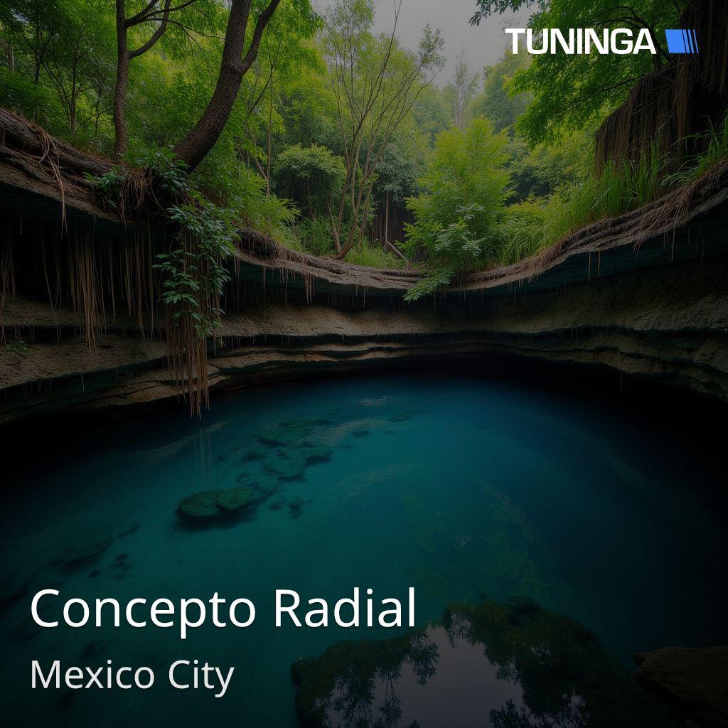 Concepto Radial