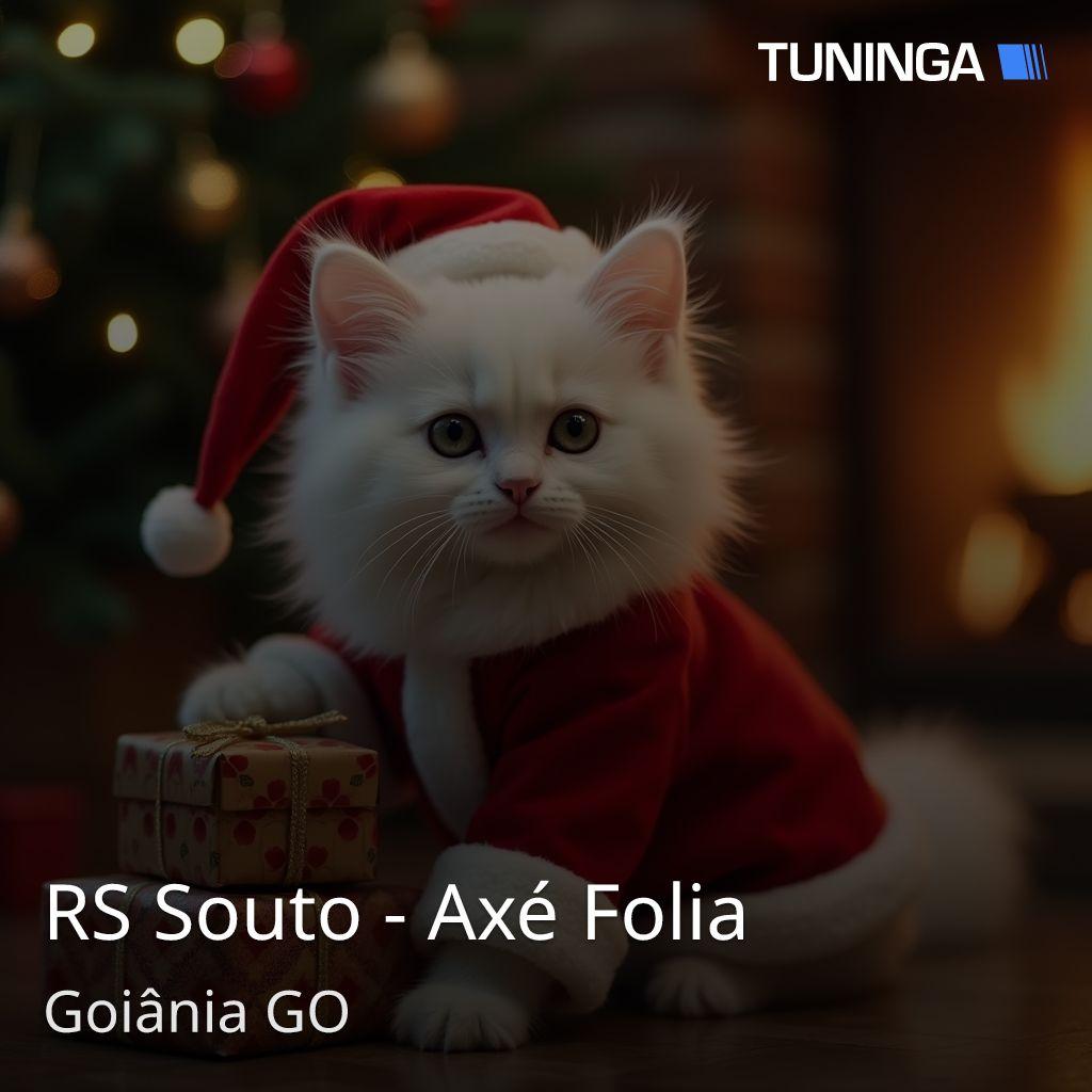 RS Souto - Axé Folia