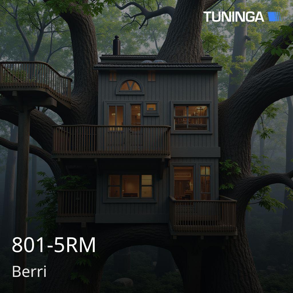 801-5RM