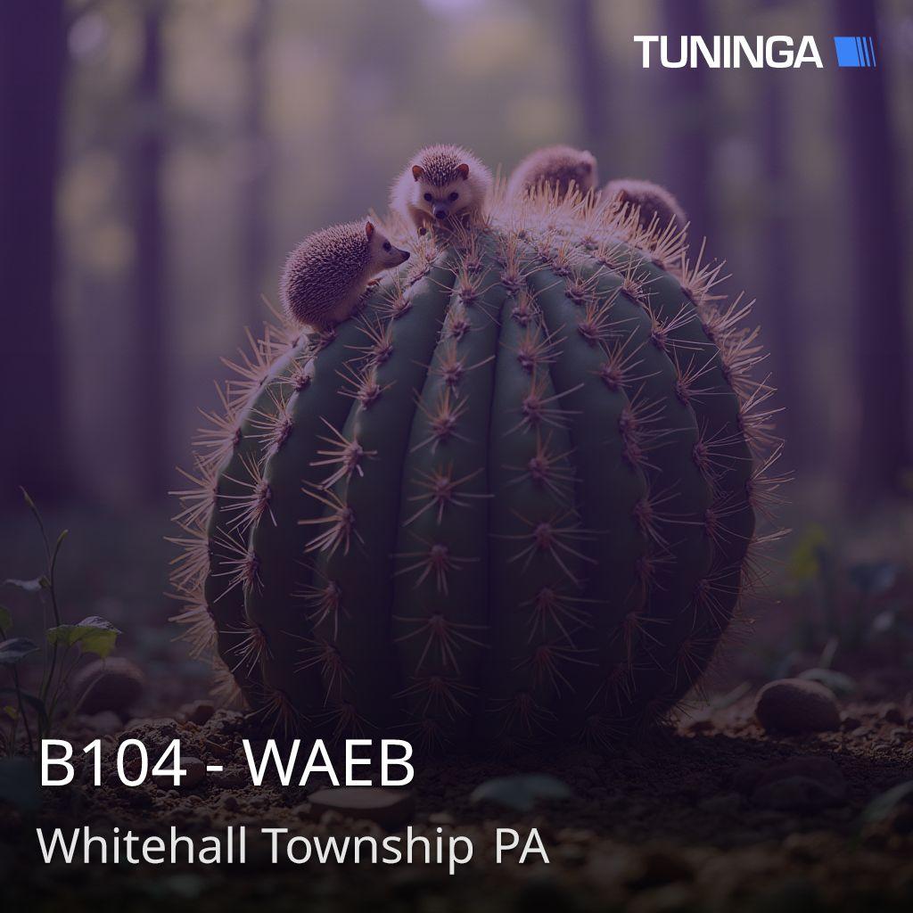 B104 - WAEB