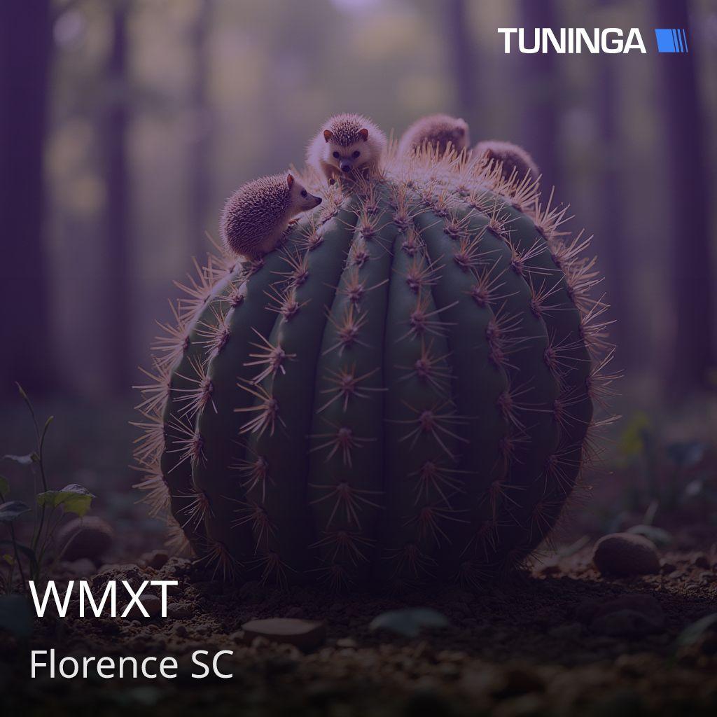WMXT