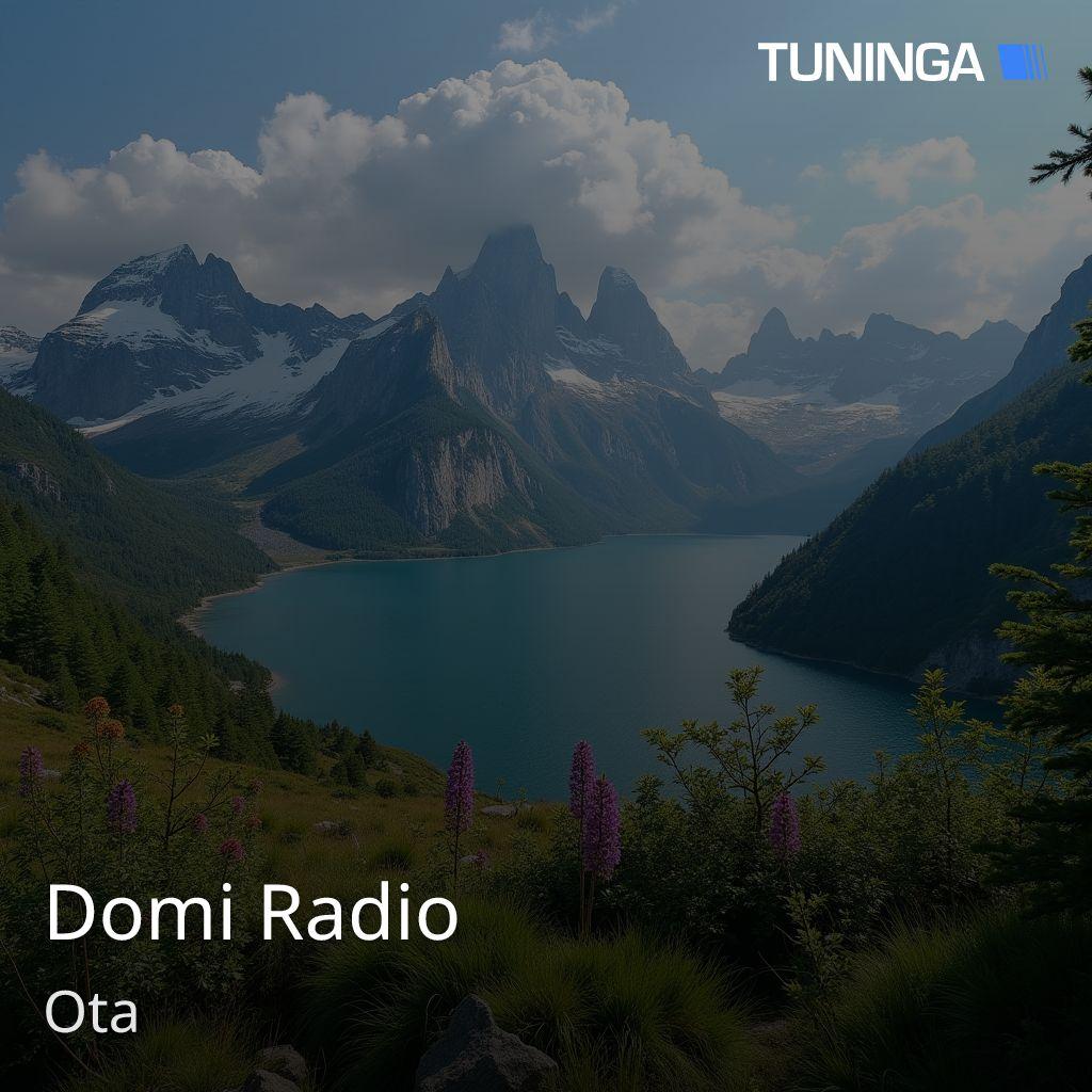Domi Radio