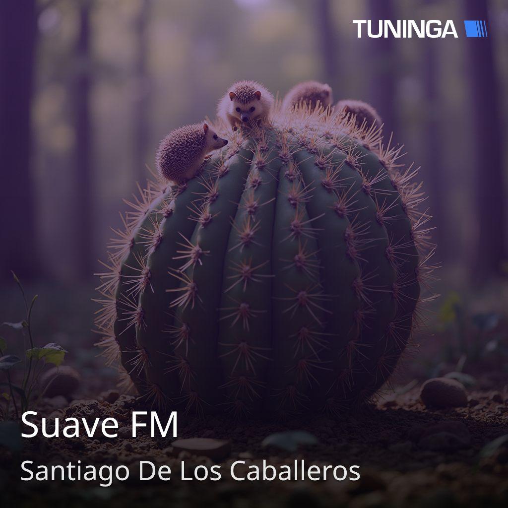 Suave FM
