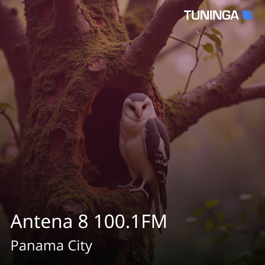 Antena 8 100.1FM
