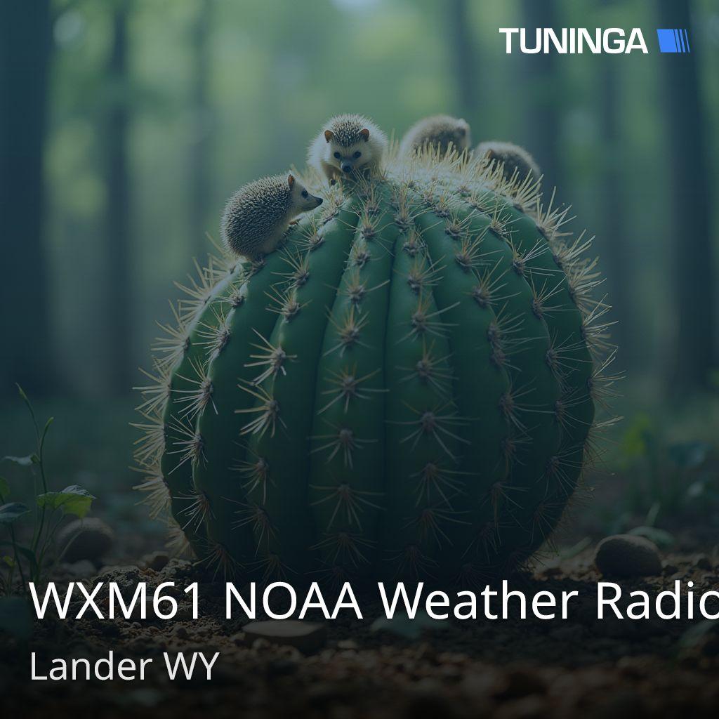 WXM61 NOAA Weather Radio
