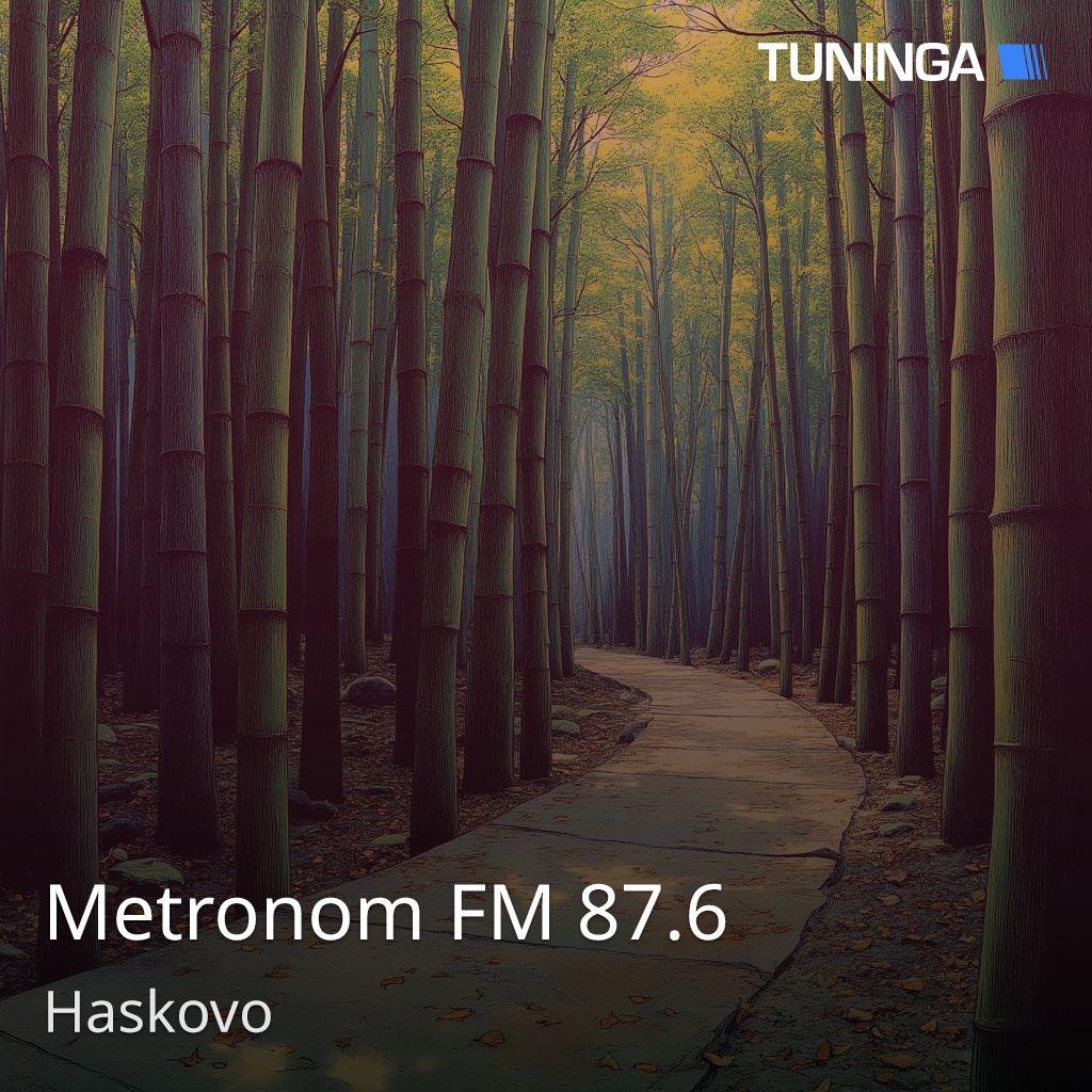 Metronom FM 87.6