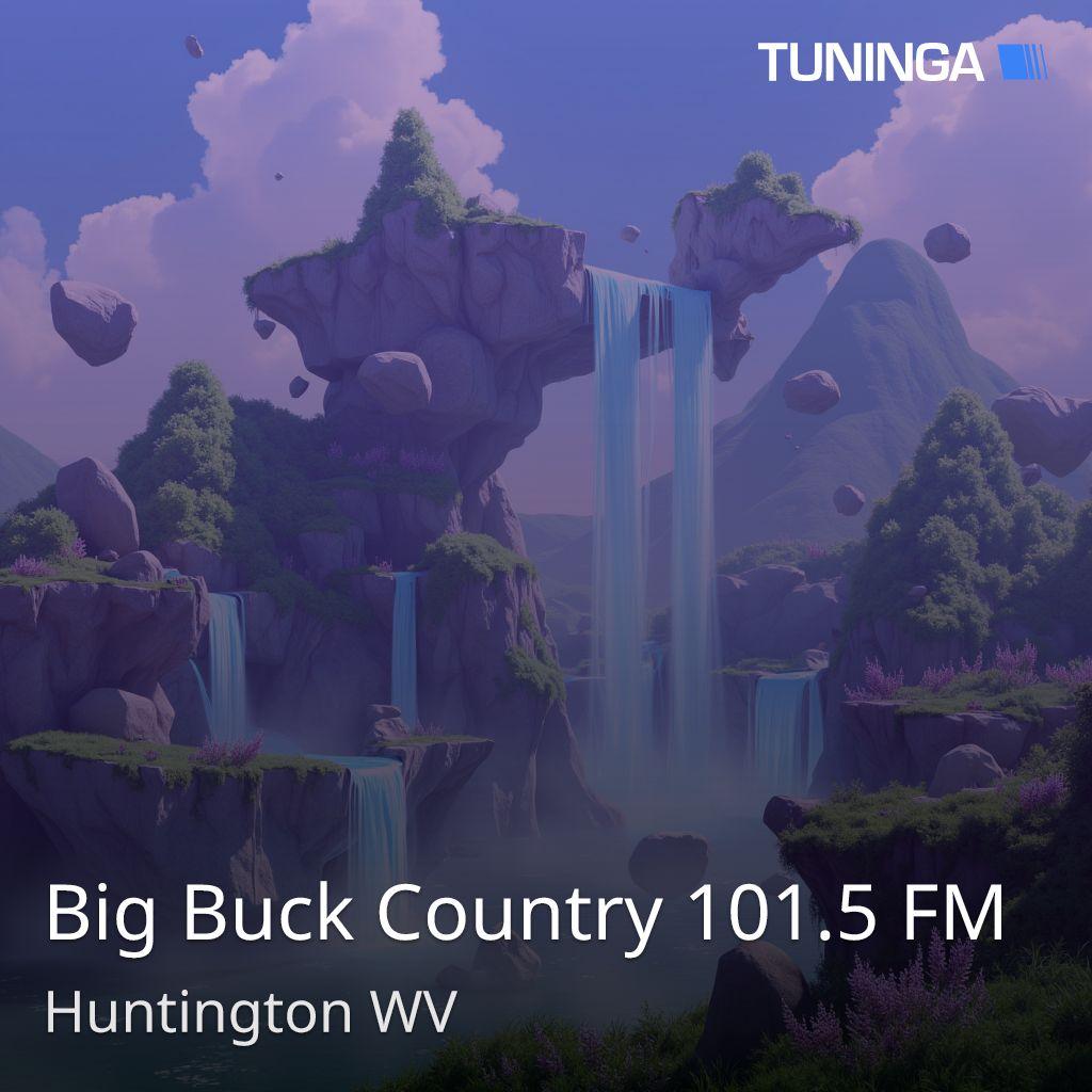 Big Buck Country 101.5 FM