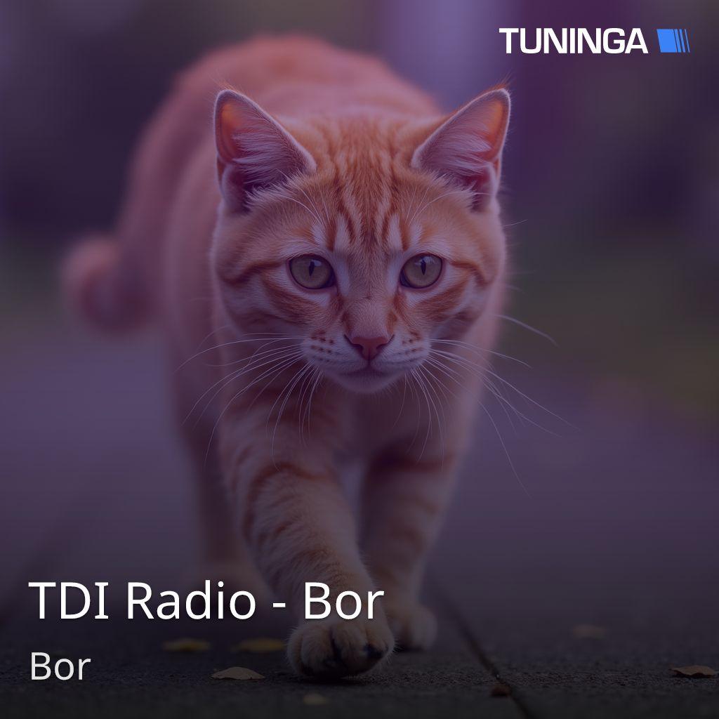 TDI Radio - Bor