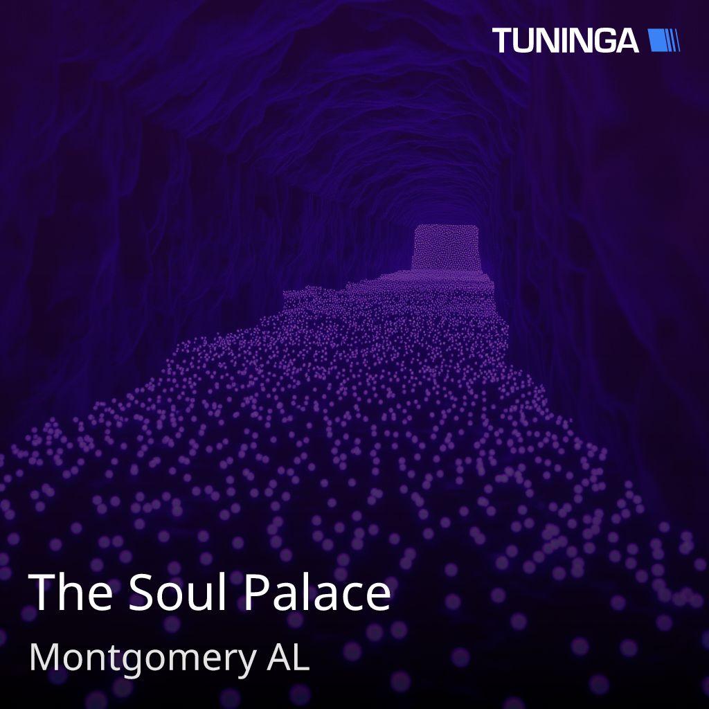 The Soul Palace