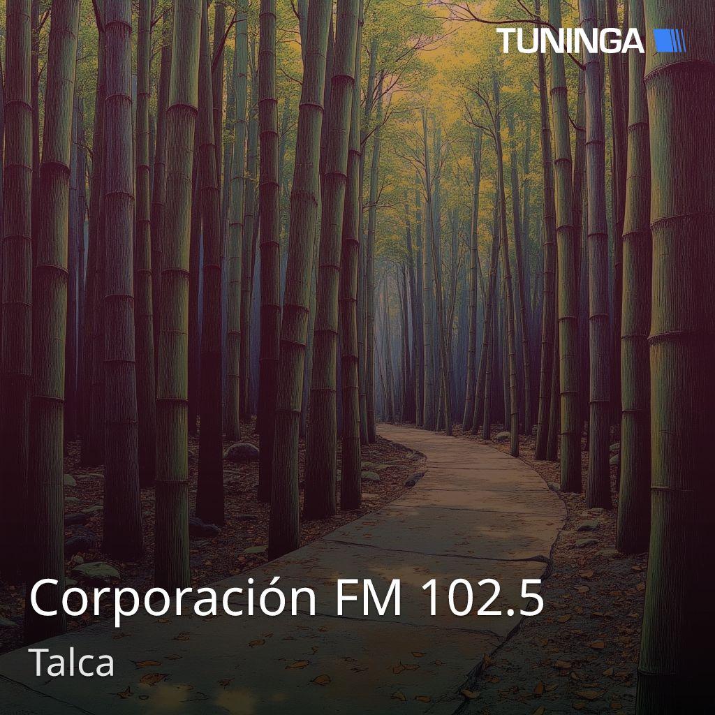 Corporación FM 102.5