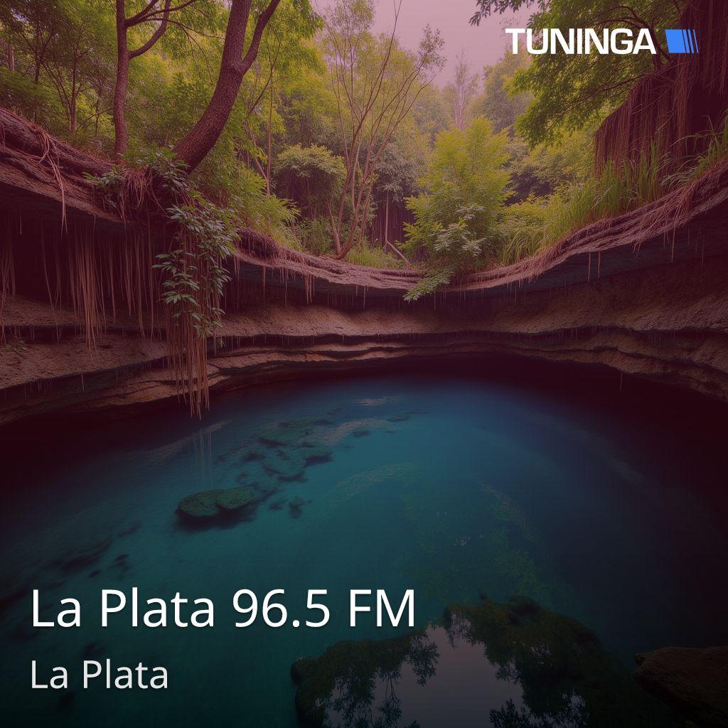 La Plata 96.5 FM