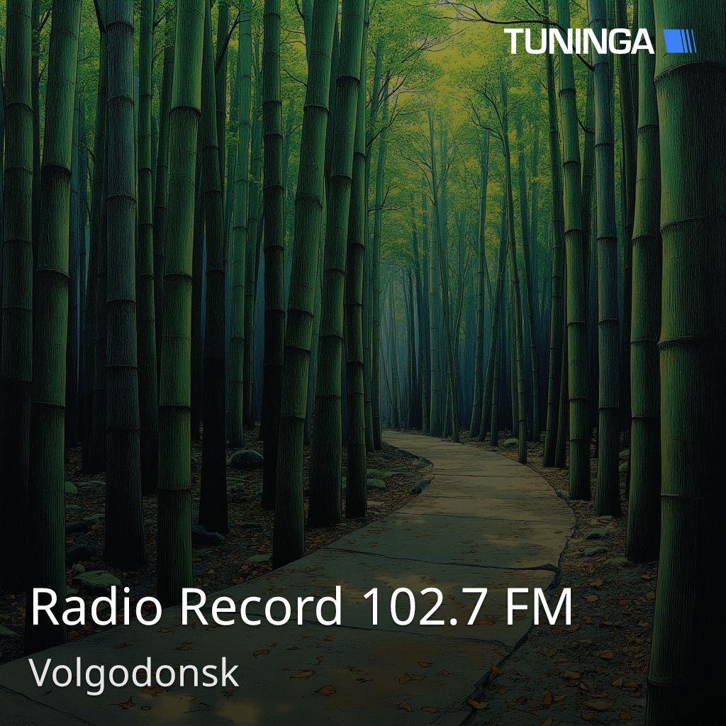 Radio Record 102.7 FM