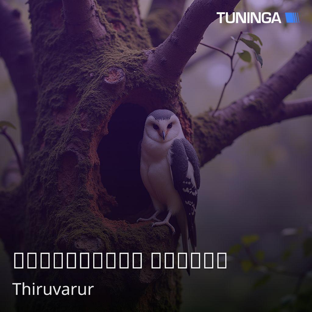 திருவாரூர் வானொலி
