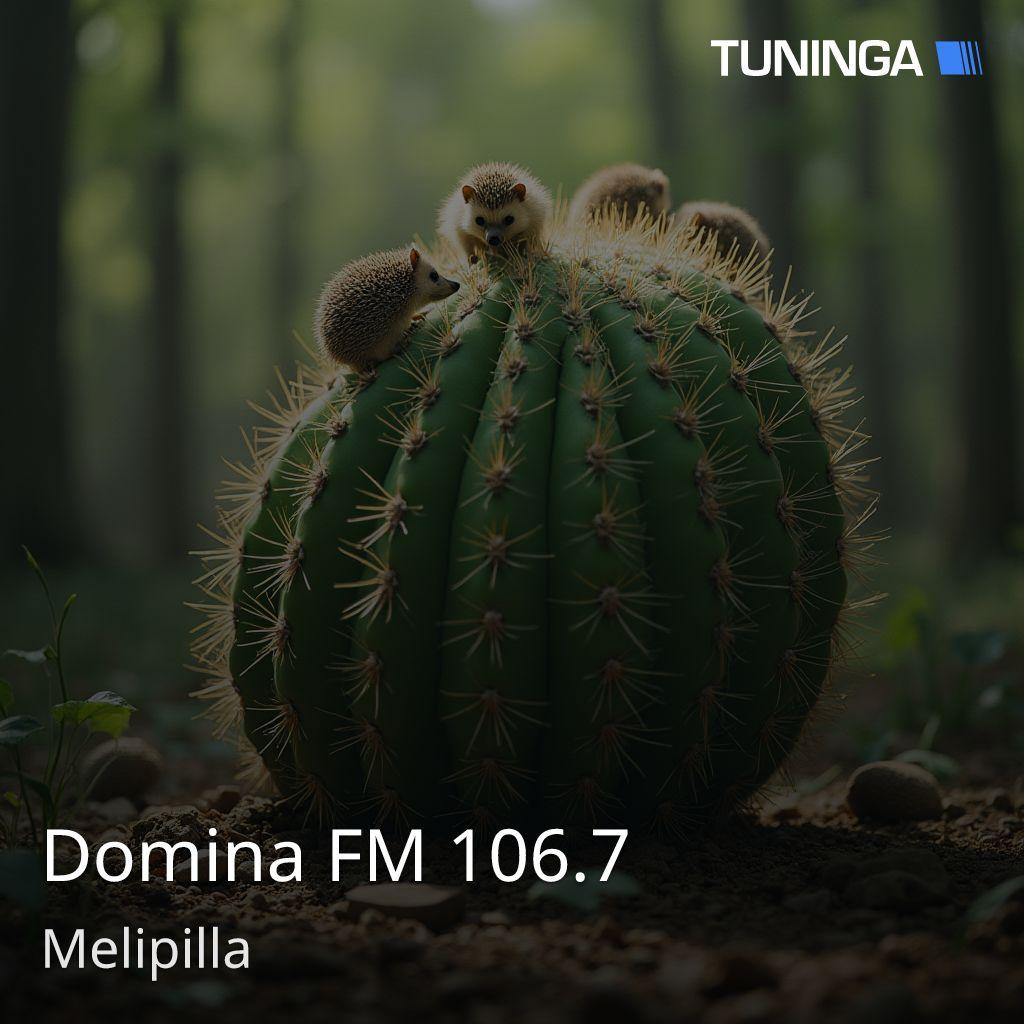 Domina FM 106.7