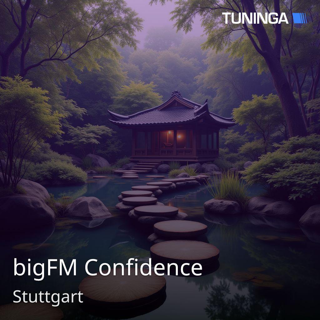 bigFM Confidence