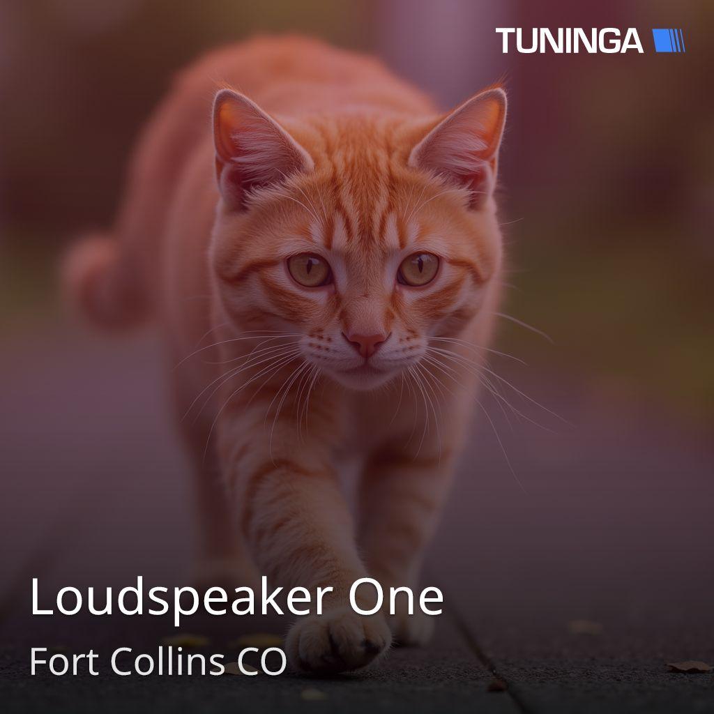 Loudspeaker One