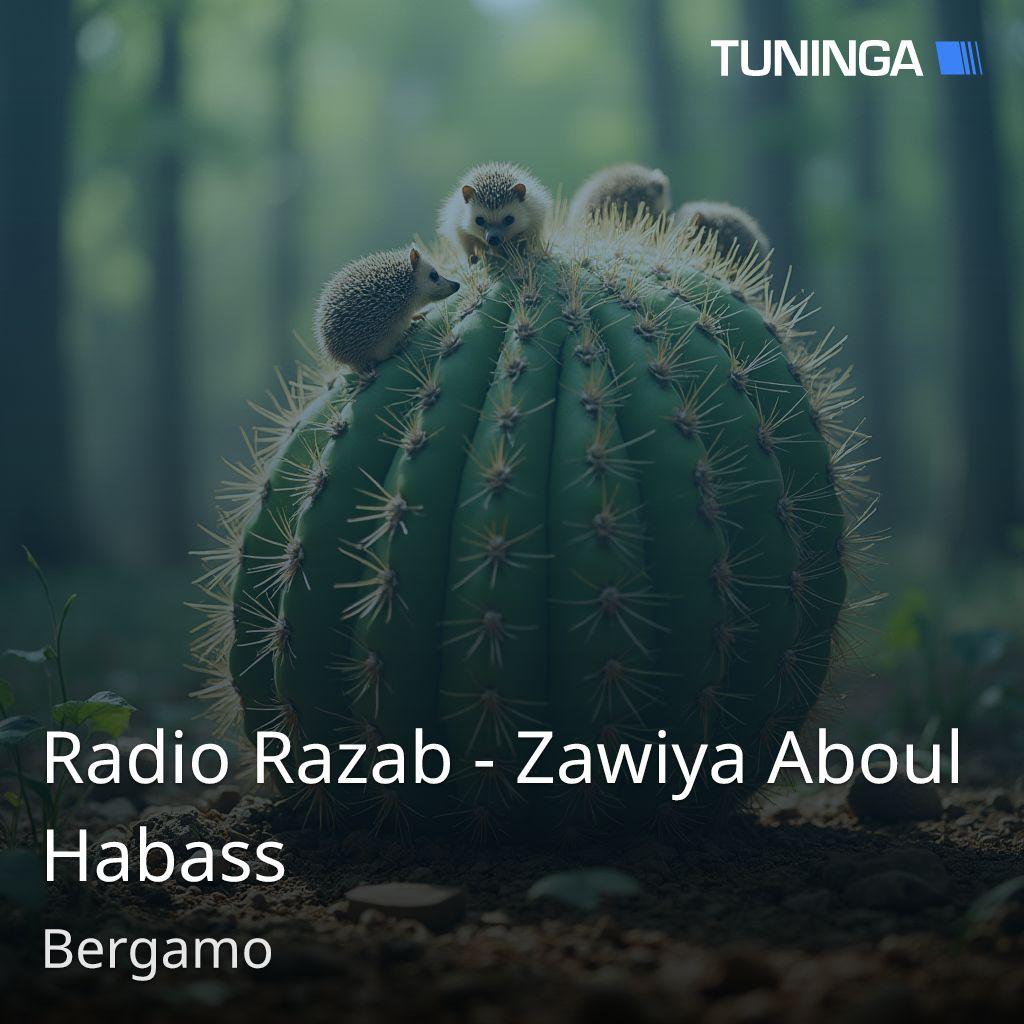 Radio Razab - Zawiya Aboul Habass
