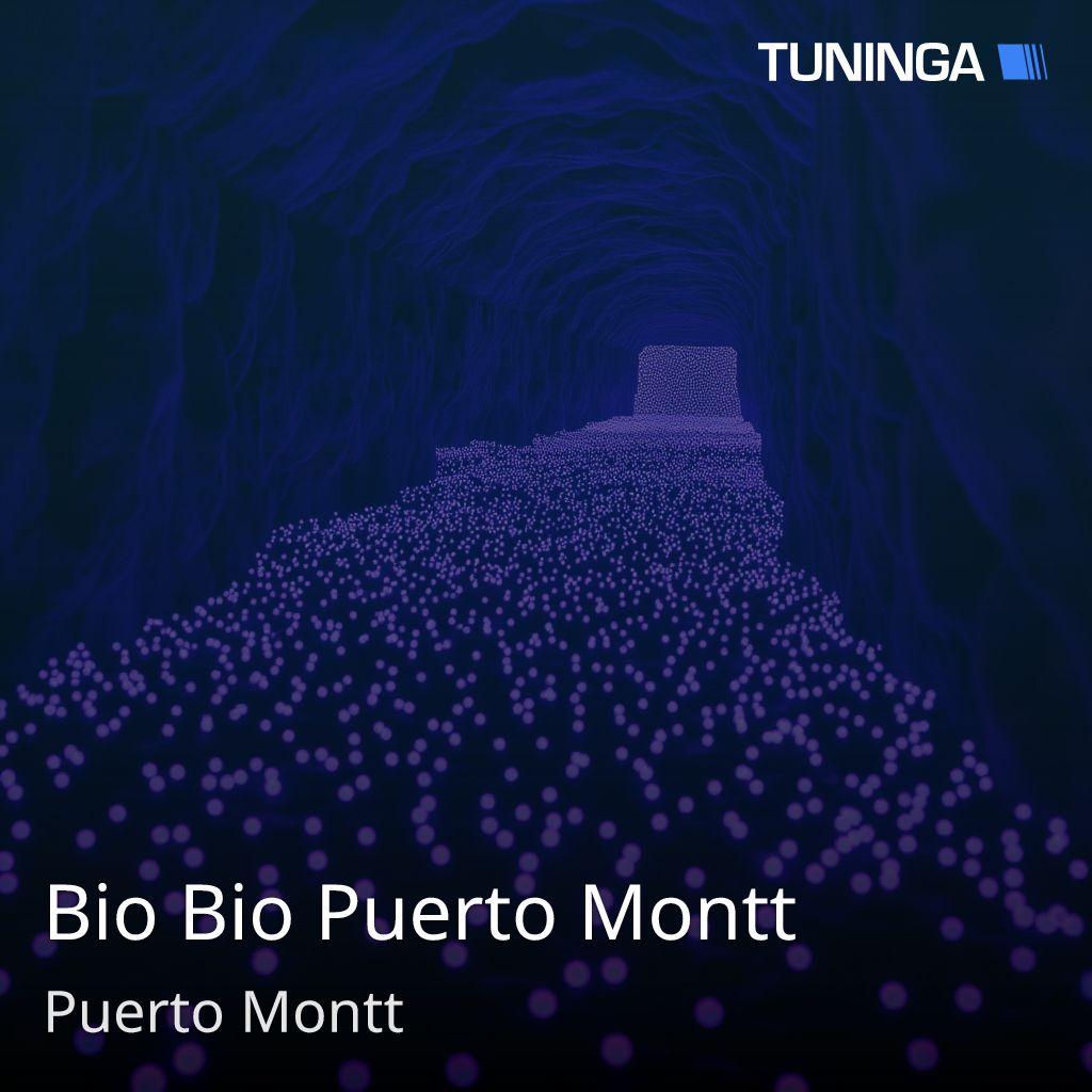 Bio Bio Puerto Montt