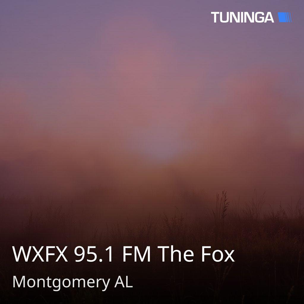 WXFX 95.1 FM The Fox