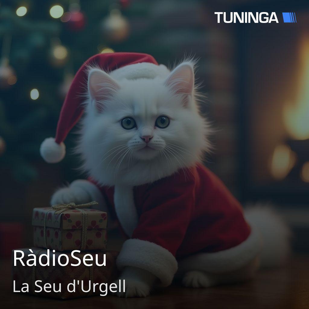 RàdioSeu