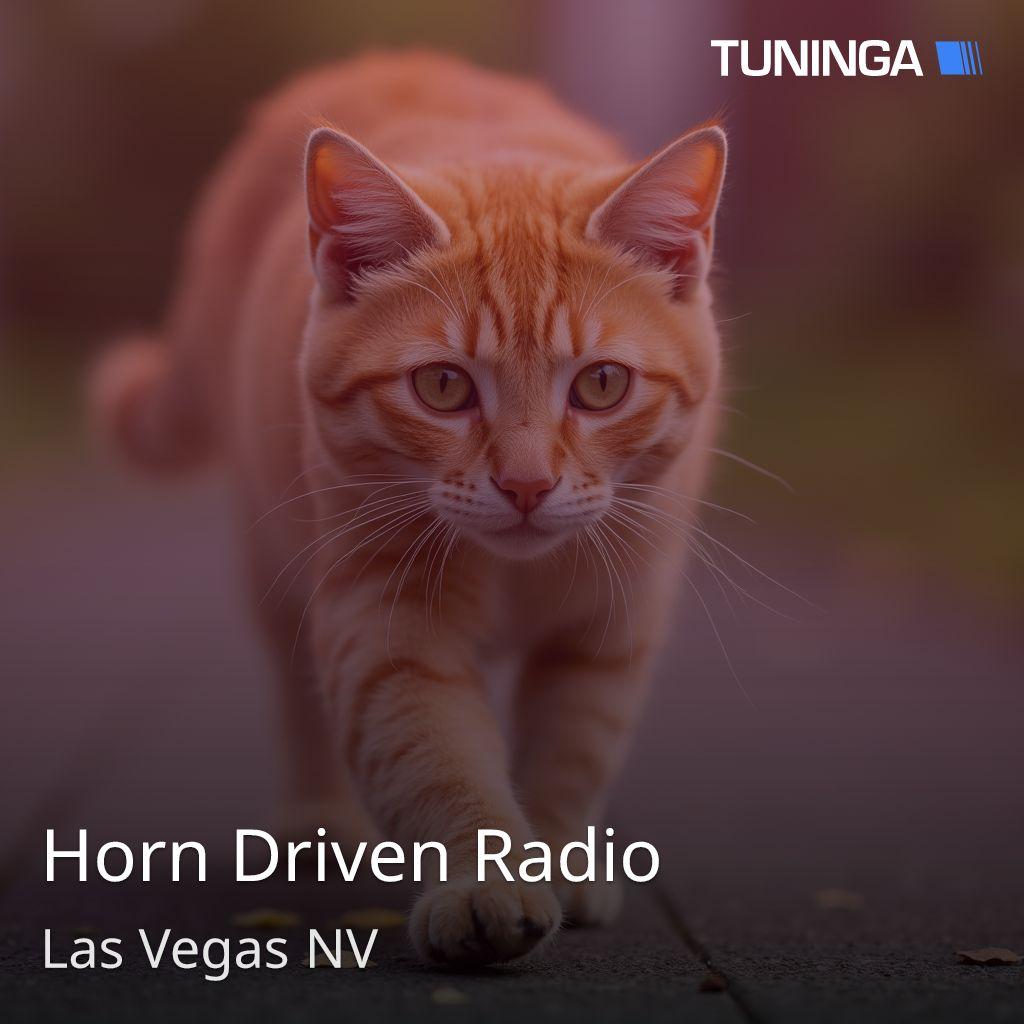 Horn Driven Radio