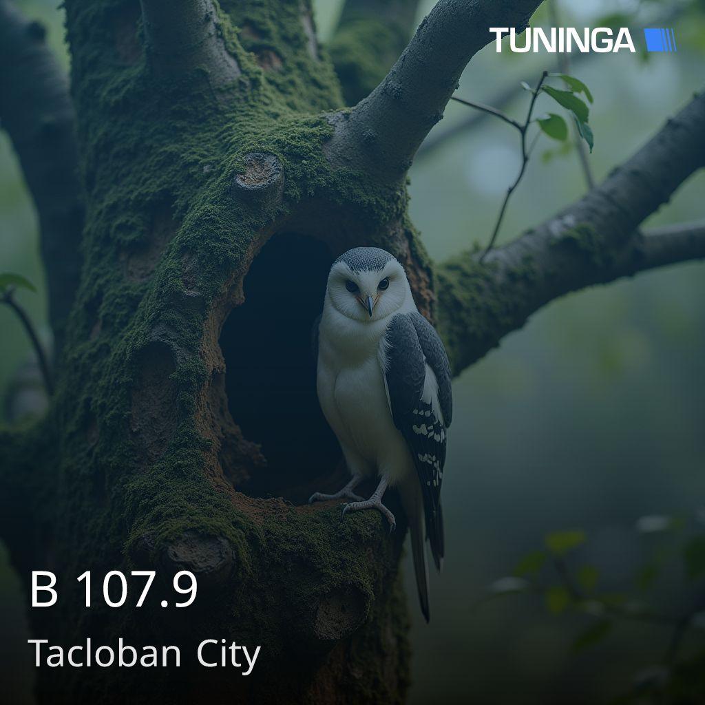 B 107.9