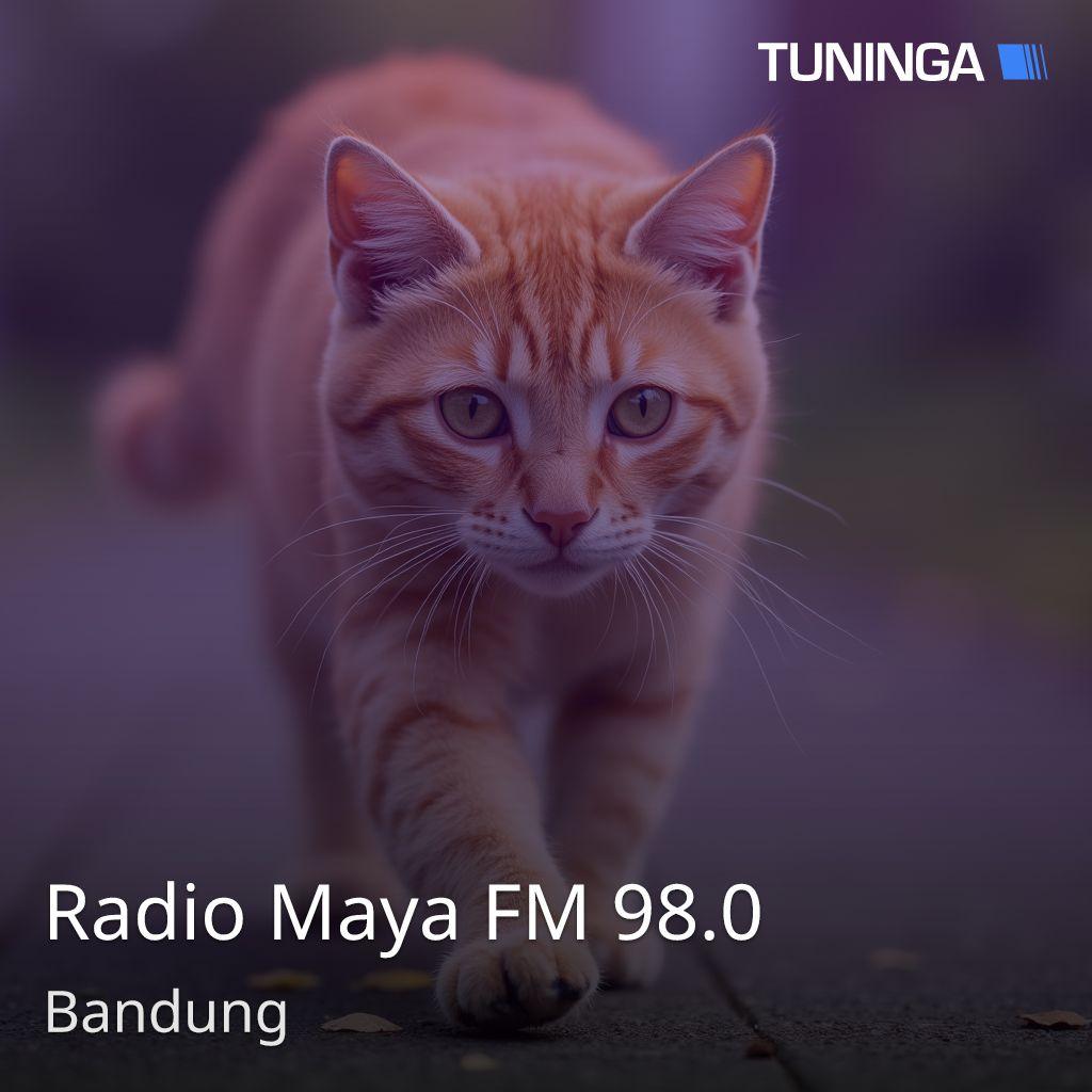 Radio Maya FM 98.0