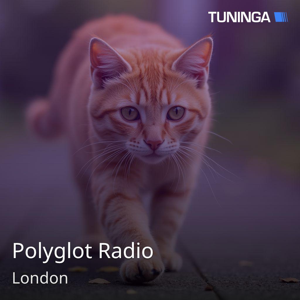 Polyglot Radio