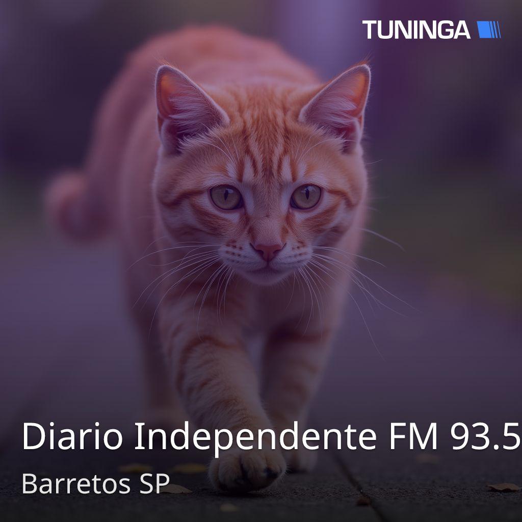 Diario Independente FM 93.5