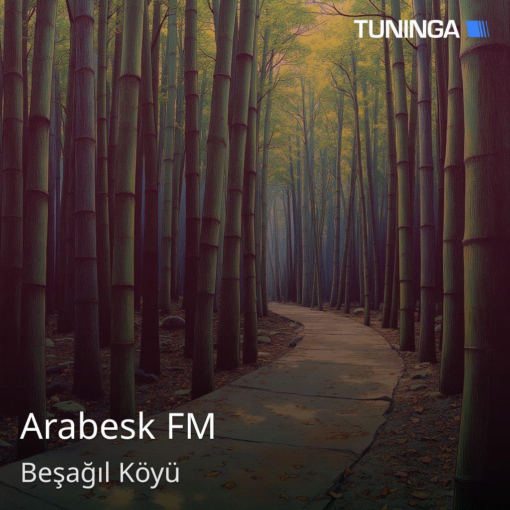 Arabesk FM