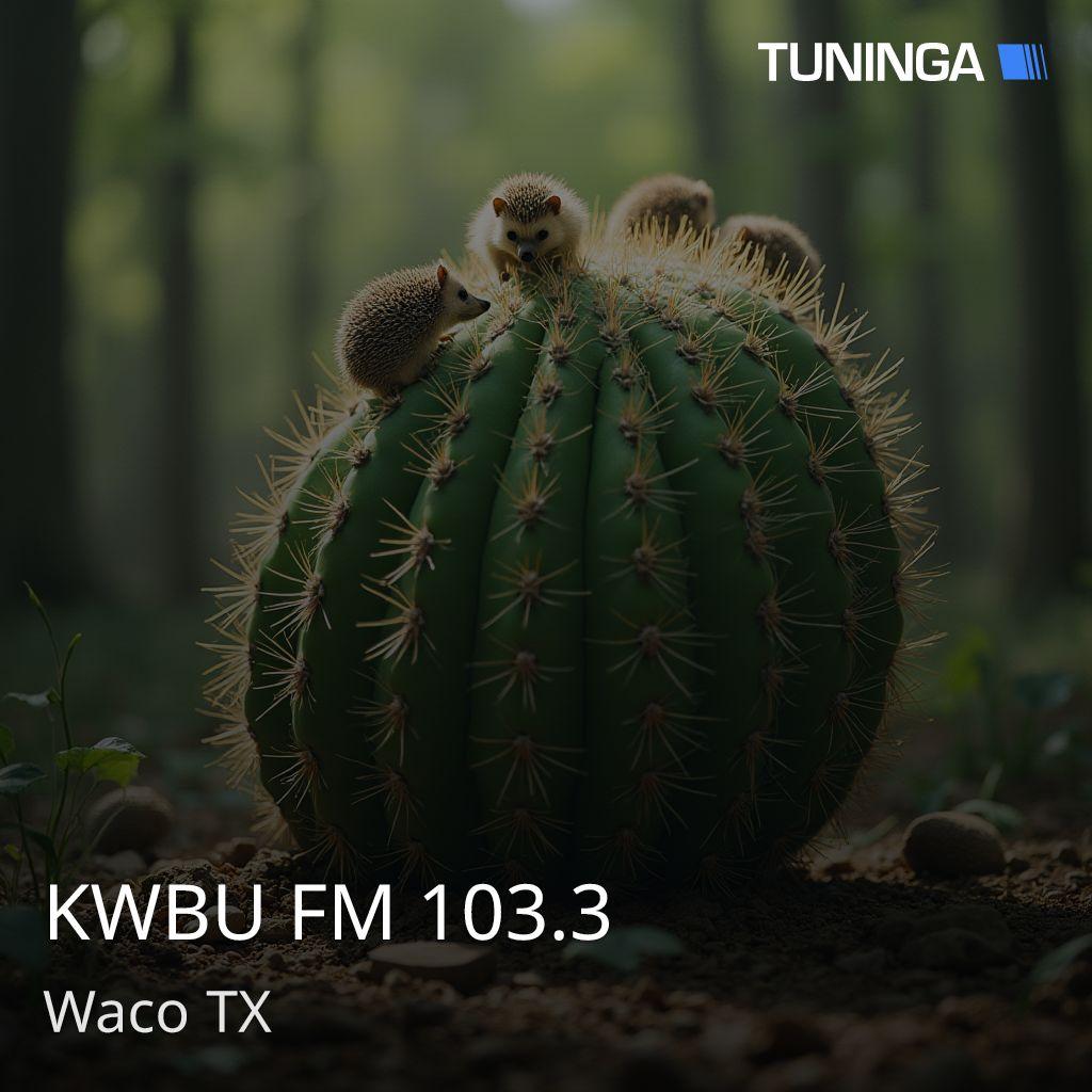 KWBU FM 103.3