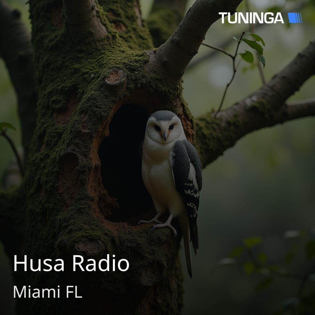 Husa Radio