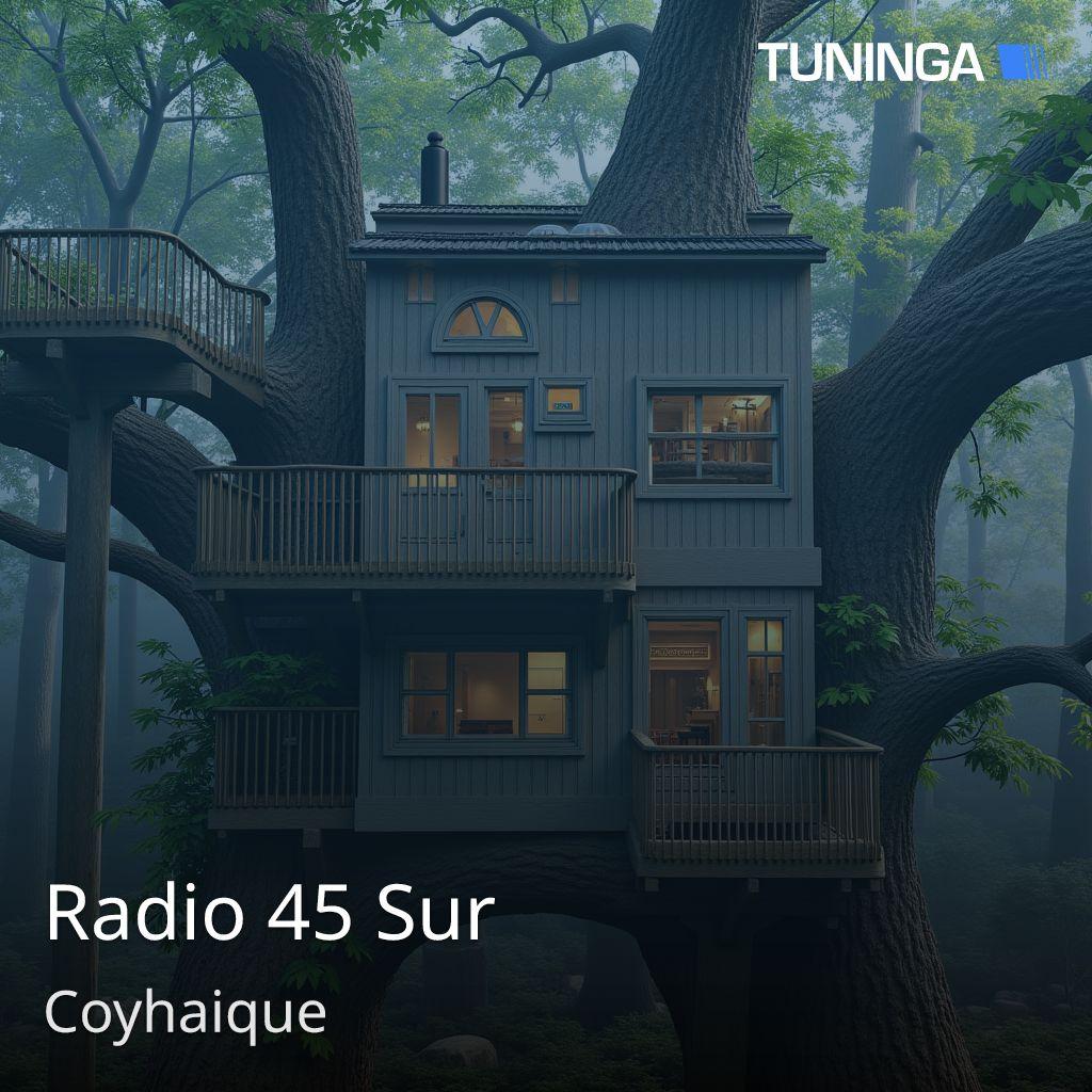 Radio 45 Sur