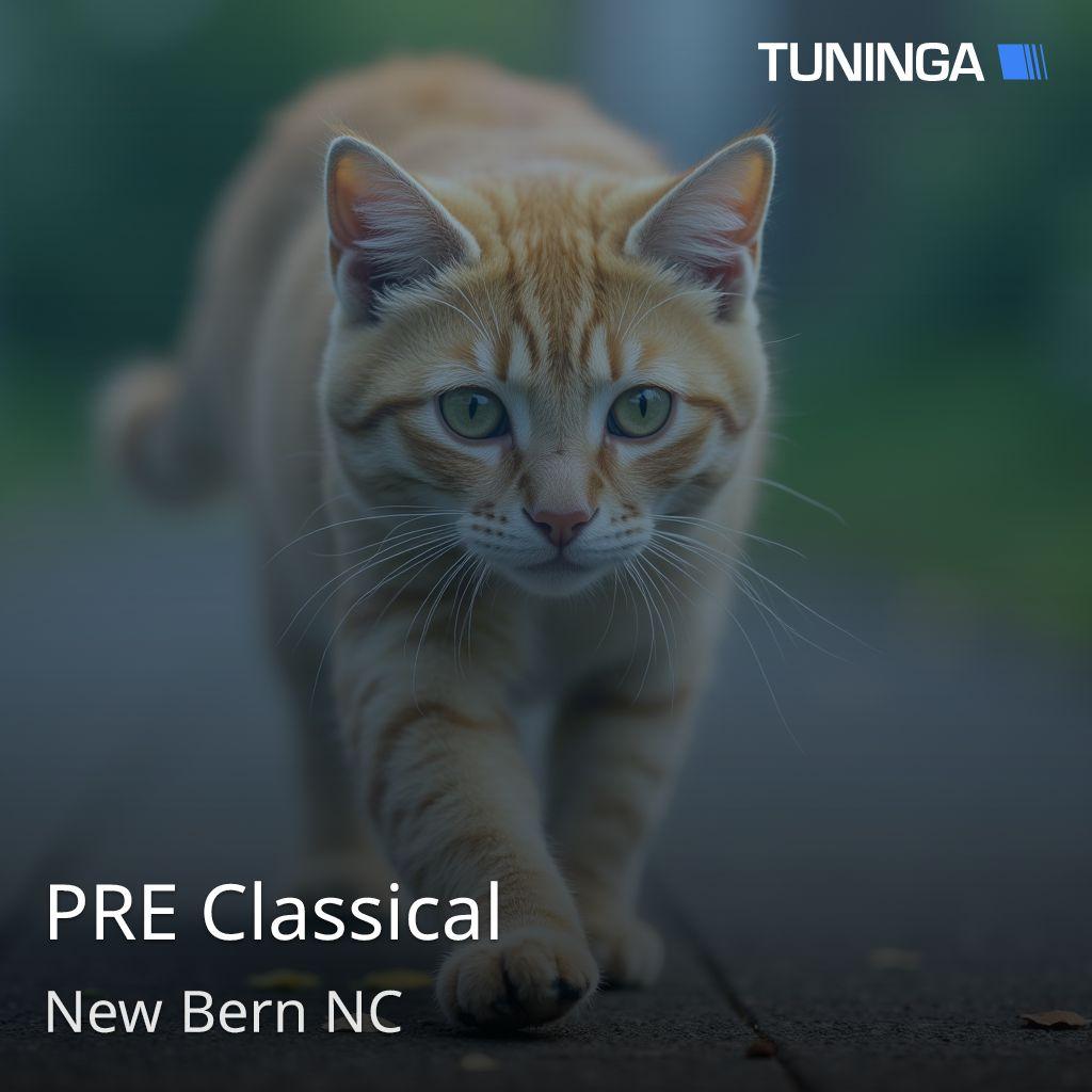 PRE Classical