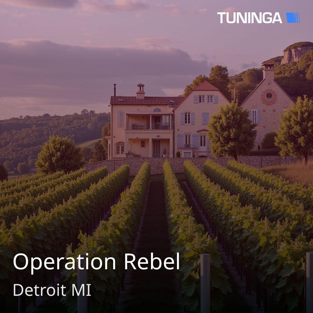 Operation Rebel