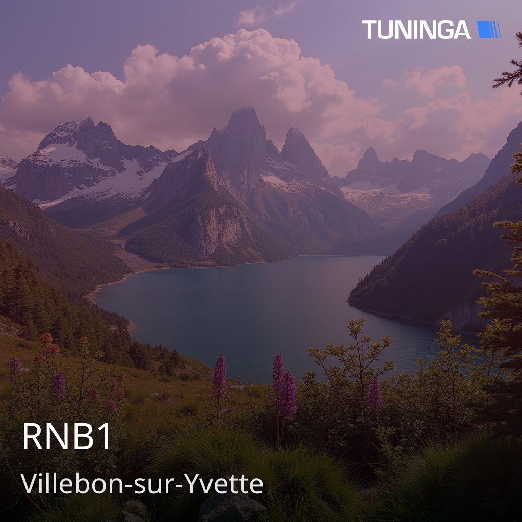 RNB1
